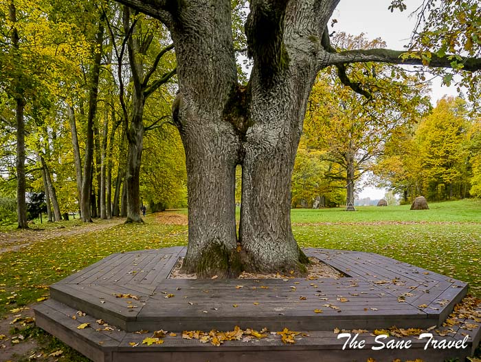 144 stameriena thesanetravel.com P2140019