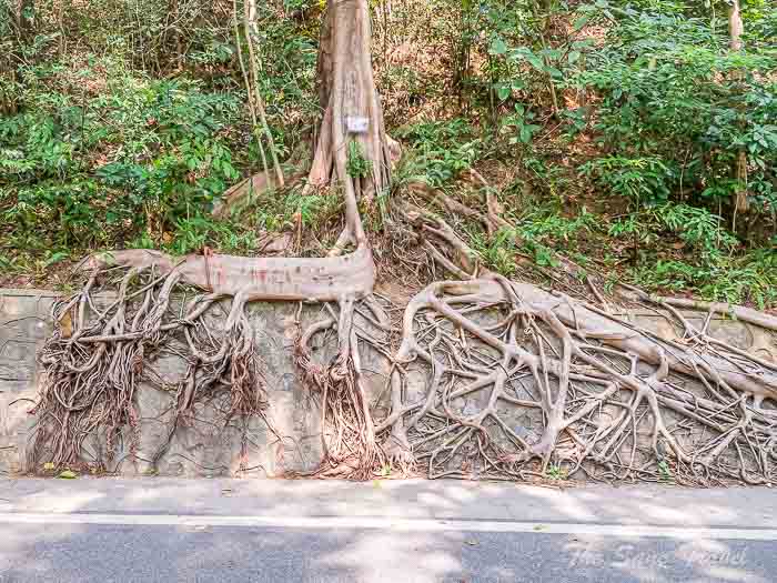 baiyun thesanetravel.com 19