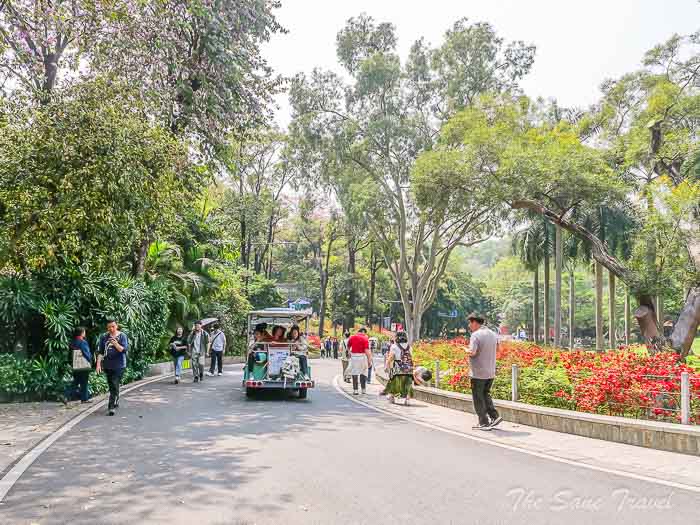 baiyun thesanetravel.com 20