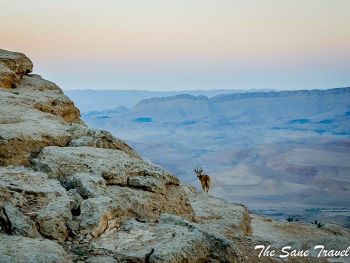 11 mitzpe ramon israel www.thesanetravel.com 1220005
