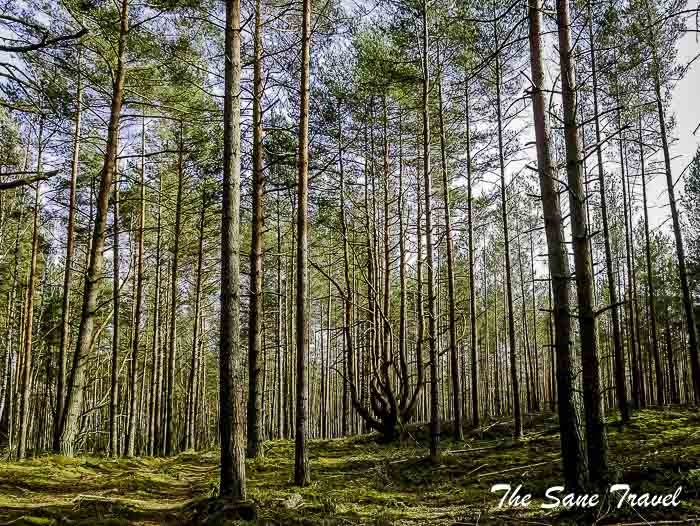 29 carnikava thesanetravel.com P1950741