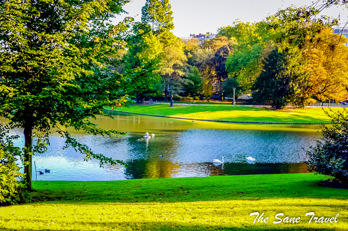 antwerpen city autumn park www.thesanetravel.com 1260181