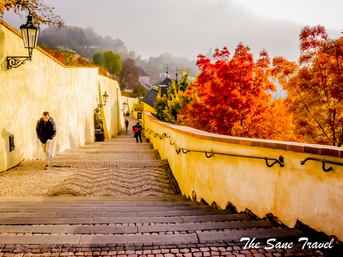 prague autumn www.thesanetravel.com 1570232