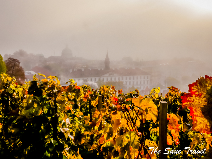prague autumn www.thesanetravel.com 1570238