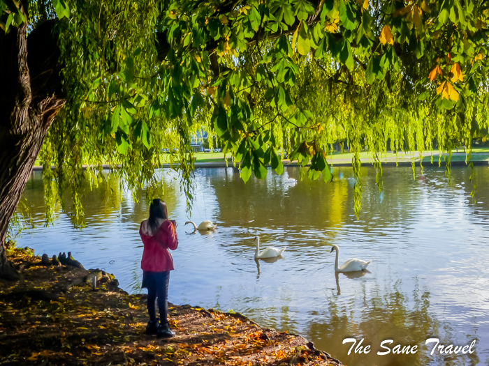 stratford upon avon autumn www.thesanetravel.com 1550713