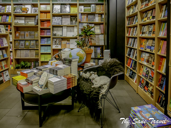 20 reykjavik bookshop thesanetravel.com P1360133