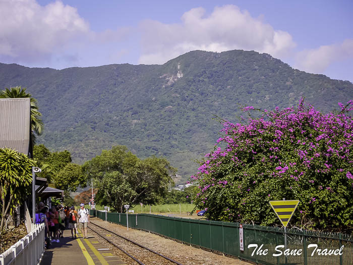 10 kuranda train thesanetravel.com KurandaTrain P1320805