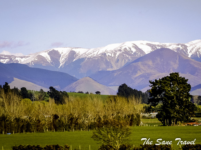 20 tranzalpine train thesanetravel.com TranzAlpine P1330590