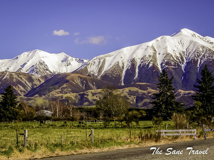 22 tranzalpine train thesanetravel.com TranzAlpine P1330687