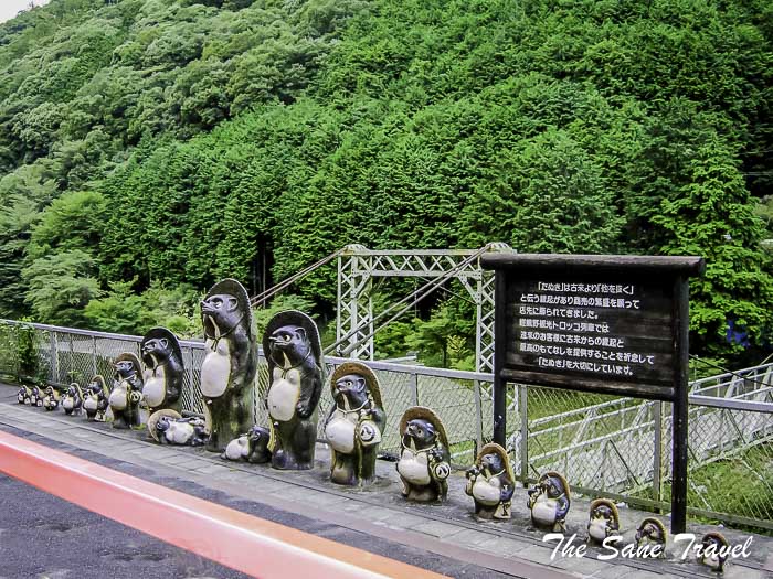 34 sagano train thesanetravel.com SaganoTrainDSCN0551