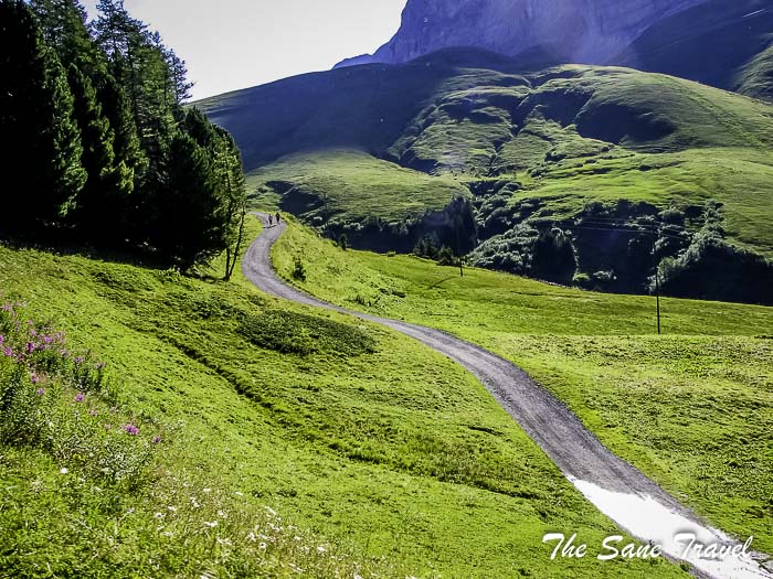 82 jungfaujoch train thesanetravel.com IMG 8647