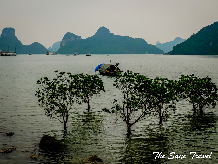 3 halong bay www.thesanetravel.com