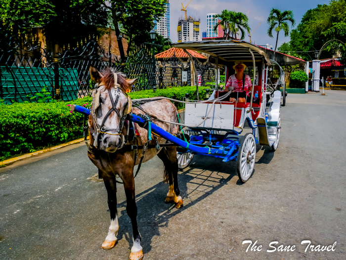 16 calesa manila philippines www.thesanetravel.com 1150037