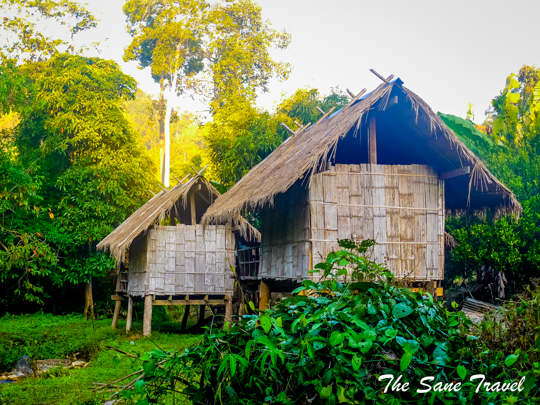 Thailand jungles accomodation