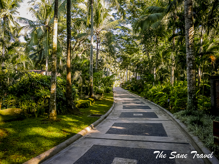 12 farm san benito philippines thesanetravel.com 1180230