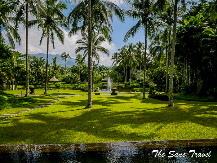 15 farm san benito philippines thesanetravel.com 1180294