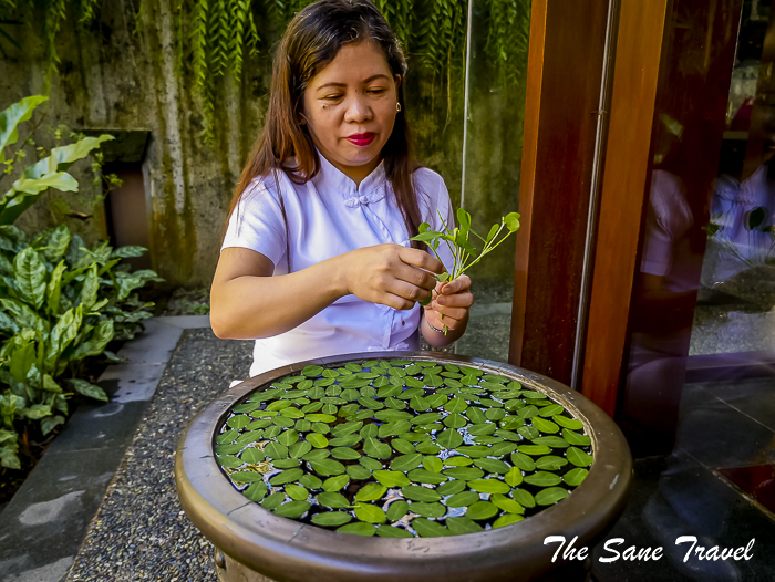 50 farm san benito philippines thesanetravel.com 1180266