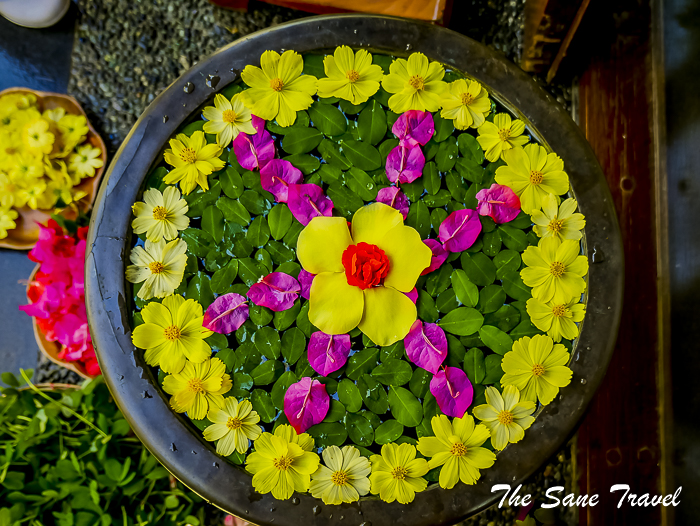 51 farm san benito philippines thesanetravel.com 1180276