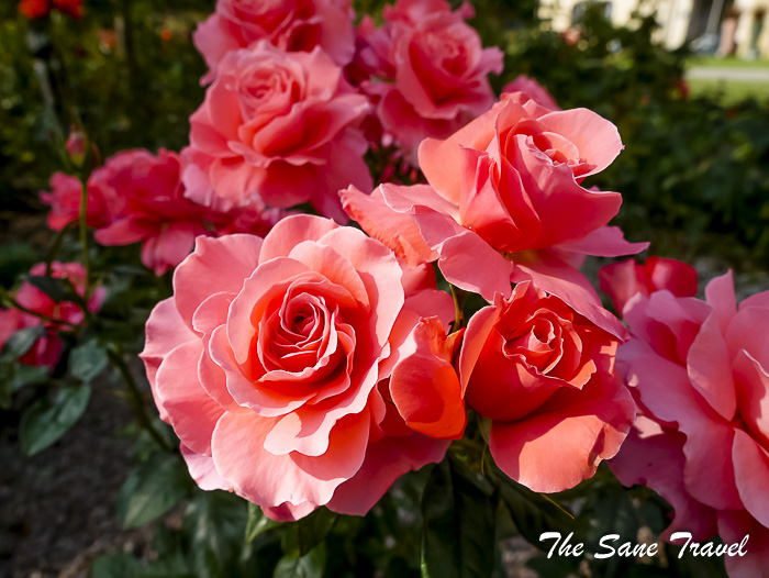 52 quadrille hotel gdinja thesanetravel.com P2080161