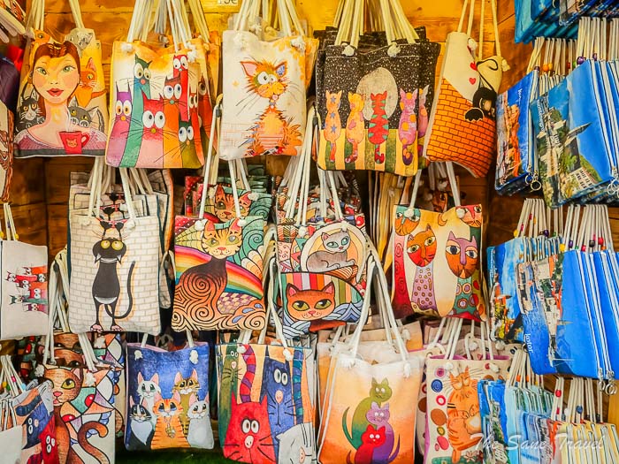 115 cats kotor thesanetravel.comP1407961