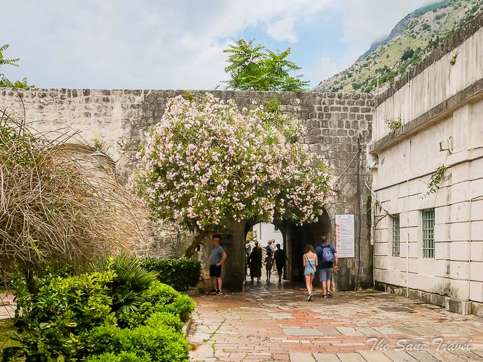 32 river gate 103kotor thesanetravel.comP1397802