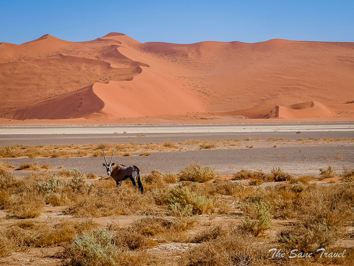 101 namibia thesanetravel.com P1432014