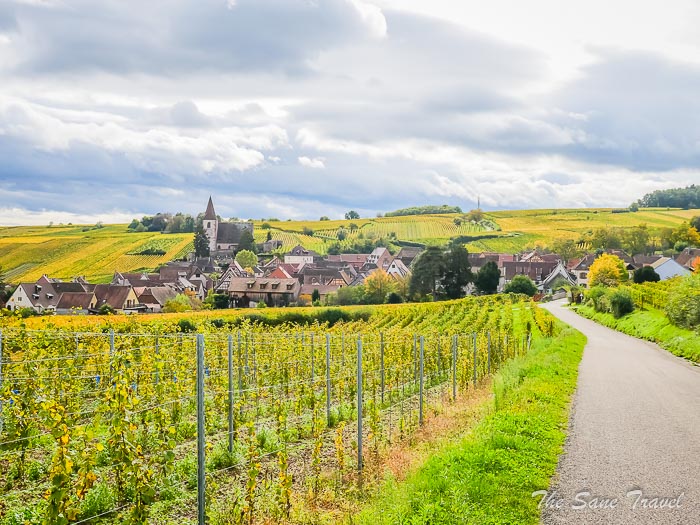 115 alsace thesanetravel.com P1466280