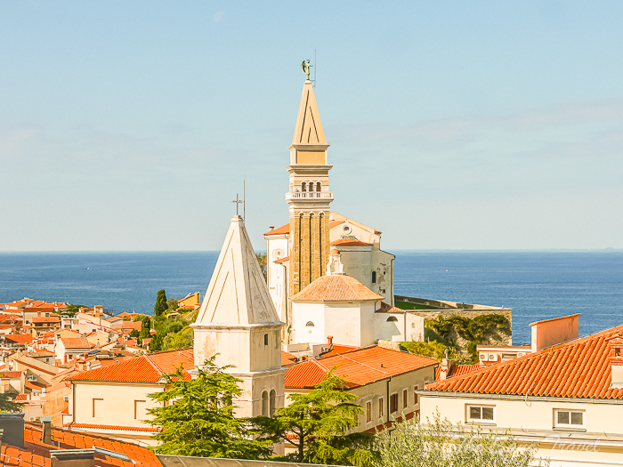 108 piran thesanetravel.com P1660411