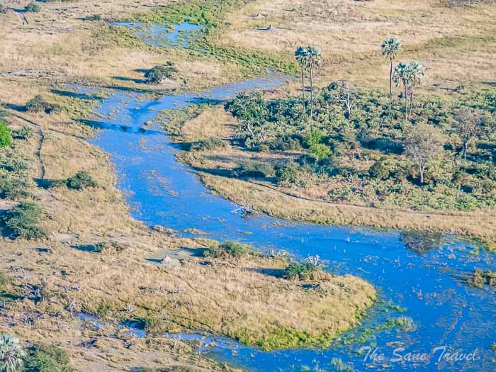 51 okwango thesanetravel.com P1590722