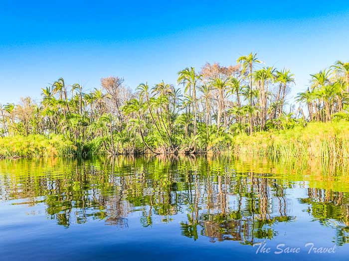 52 okwango thesanetravel.com P1590814