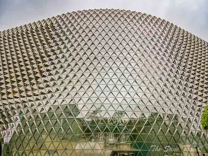 55 sahmri thesanetravel.com P1753194