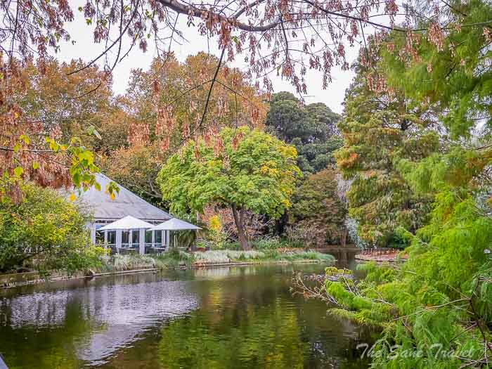 74 botanic garden thesanetravel.com P1753593