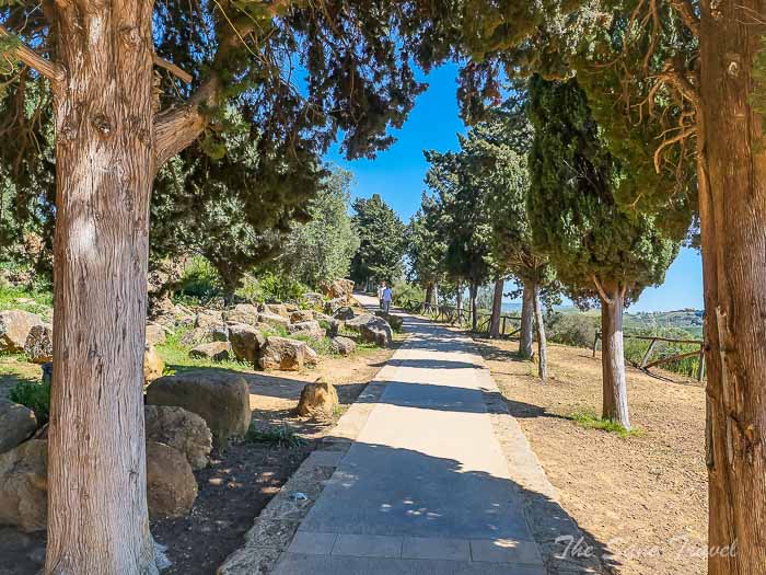 79 walk thesanetravel.com P1578794