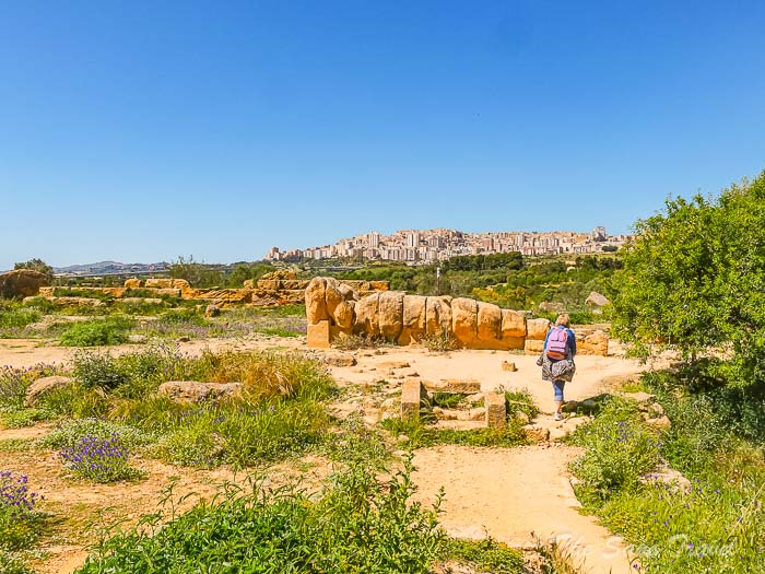 81 temple de zeus thesanetravel.com P1578801