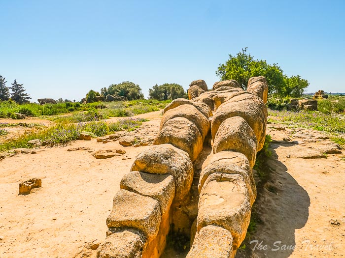 82 temple de zeus thesanetravel.com P1578803