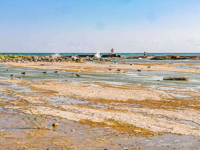 81 sea aktau thesanetravel.com P1647344