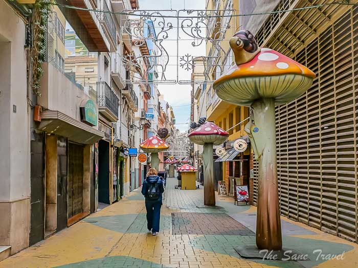 13 mushrooms alicante thesantravel.com P1683569