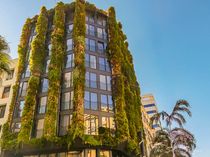 185 singular green alicante thesantravel.com P1510121