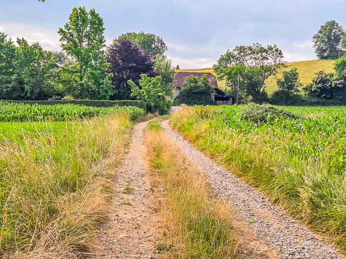 91 to gorges annecy thesanetravel.com 20250623 092304