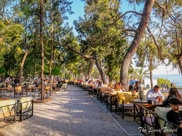 53 park antalya thesanetravel.com P1311045