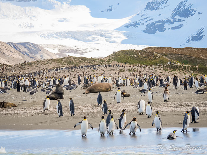 20 south georgia thesanetravel.comP1359643