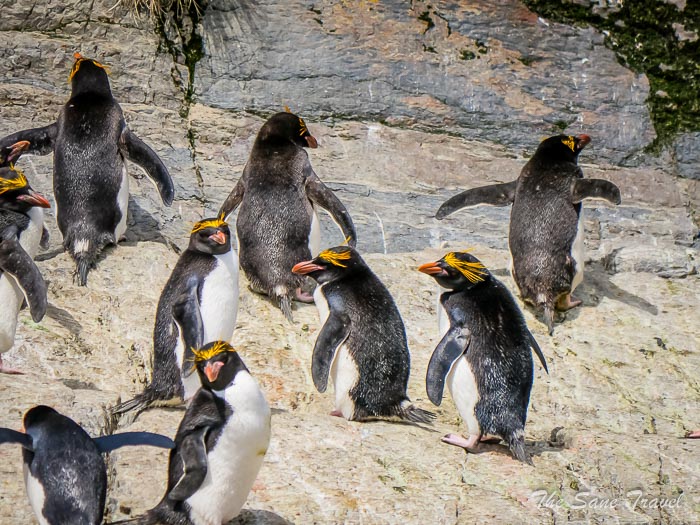 121 3 January Hercules and thesanetravel.comP1349284