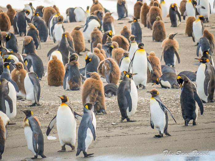 123 3 January Hercules and  thesanetravel.comP1359577