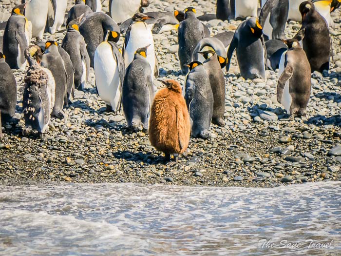 153 4 january gold harbour thesanetravel.comP1359925