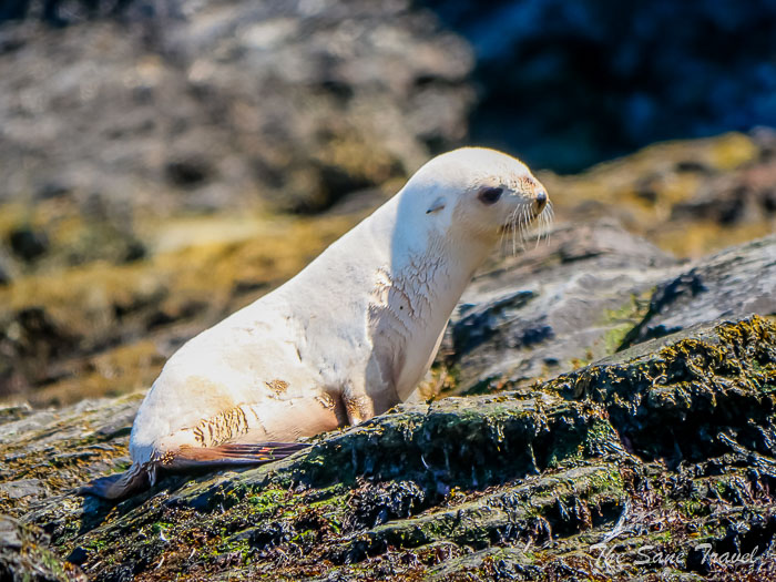 158 4 january gold harbour thesanetravel.comP1360147