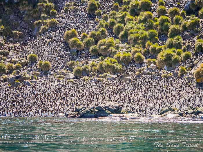 159 4 january gold harbour thesanetravel.comP1360168