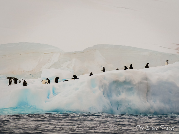 180 8 january kinnes brown thesanetravel.comP1360422