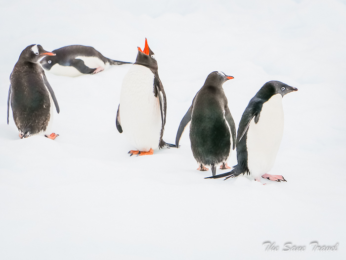 181 8 january kinnes brown thesanetravel.comP1360433