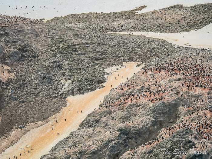 187 8 january kinnes brown thesanetravel.comP1360611