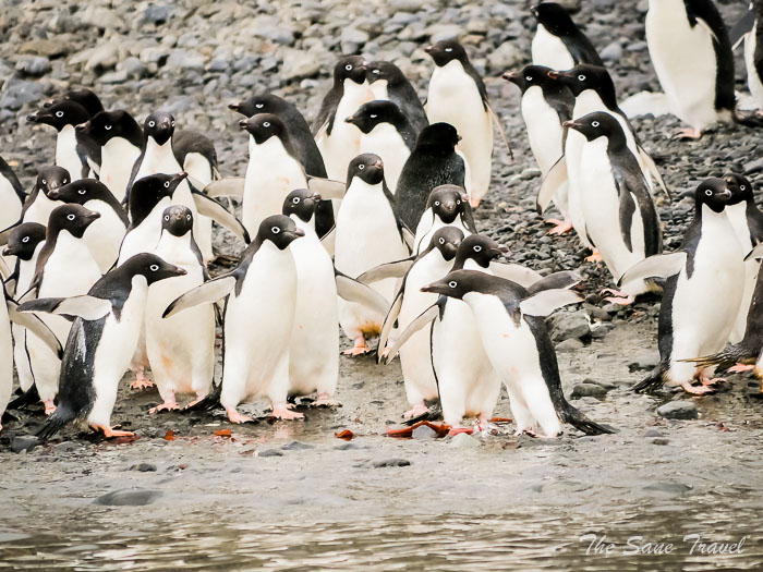 188 8 january kinnes brown thesanetravel.comP1360725